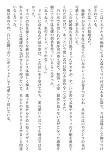 兄妹ですが異世界で結婚しました。 かけおちスローライフ, 日本語