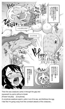 ふたなりマキちゃん海洋生物編, 日本語