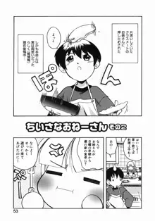 お姉ちゃんがいっしょ, 日本語