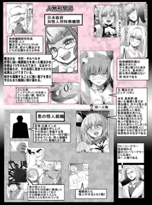 魔法少女VS催眠眼力魔人, 日本語