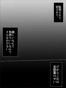 ねえ、もういいでしょ…早く家に帰して…, 日本語