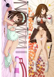 DM Dakimakura Art Collection EX2.0, 日本語