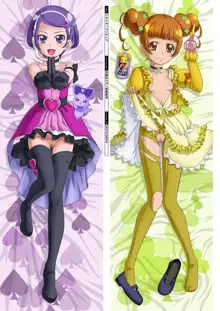 DM Dakimakura Art Collection EX2.0, 日本語