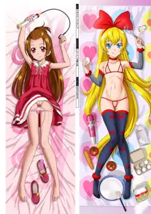 DM Dakimakura Art Collection EX2.0, 日本語