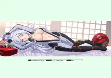 DM Dakimakura Art Collection EX2.0, 日本語