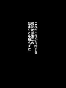 妹伝導オナホ, 日本語