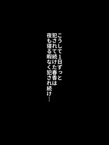 妹伝導オナホ, 日本語