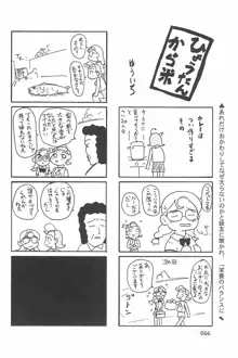 ND-special Volume 4, 日本語