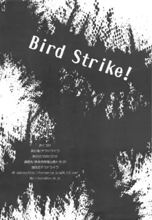 Bird Strike!, 日本語