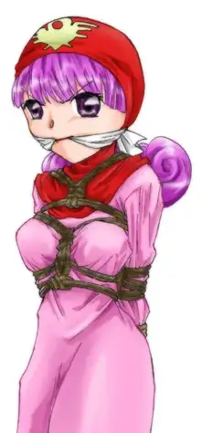 Dot in Distress Vol.002 ～Princess of DQII～, 日本語