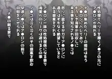 海賊ハーレムみかん編, 日本語