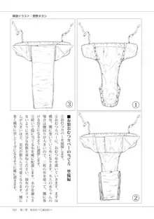 Illustrated Diaper Play, 日本語