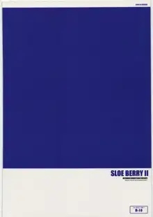 SLOEBERRY II, 日本語