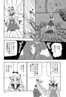 乙姫宮vol.8, 日本語