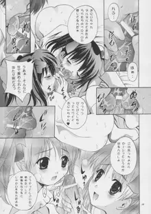 MOUSOU みにしあたー 15, 日本語