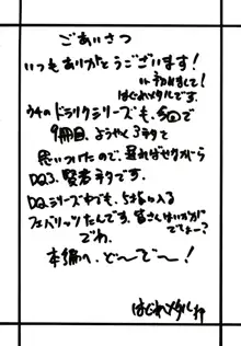 DRAGON REQUEST VOL.9, 日本語