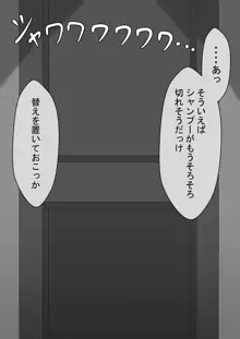 『ネトラセ』 ～東雲皐月の場合～, 日本語