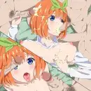 Gotoubun no Anayome, 日本語