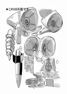 がちんこ7V, 日本語