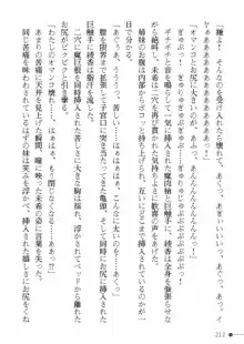 天聖ノ退魔師 綾香 魔宮の生贄, 日本語