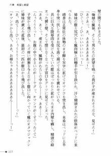 天聖ノ退魔師 綾香 魔宮の生贄, 日本語