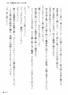 天聖ノ退魔師 綾香 魔宮の生贄, 日本語