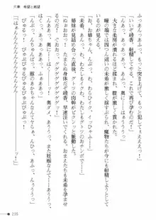 天聖ノ退魔師 綾香 魔宮の生贄, 日本語