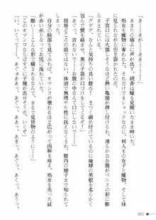 天聖ノ退魔師 綾香 魔宮の生贄, 日本語