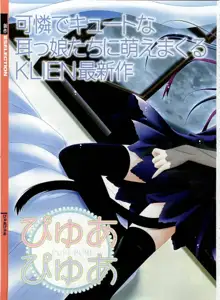 Dengeki Hime 2003-12, 日本語