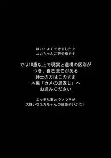 カメの恩返し, 日本語