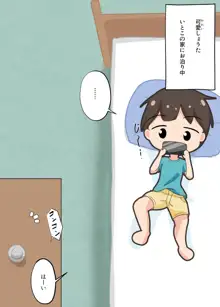 おねえちゃんたちが…, 日本語