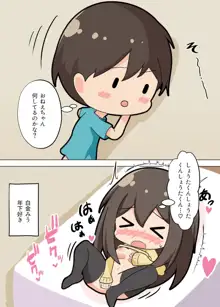 おねえちゃんたちが…, 日本語