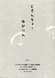 どきんちょ！ゆかりん, 日本語