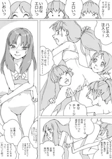 Untitled Precure Doujinshi, 日本語