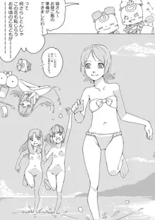 Untitled Precure Doujinshi, 日本語