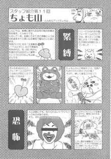 アリスのでんちばくだん Vol. 16, 日本語