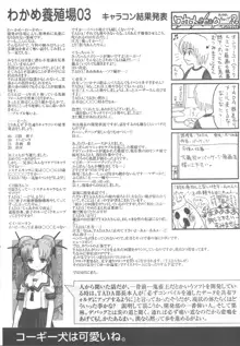 アリスのでんちばくだん Vol. 18, 日本語