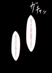 愛する人をネトラセたら・・・Vol.1, 日本語