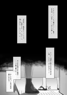 トイレで作る言いなり肉便器, 日本語