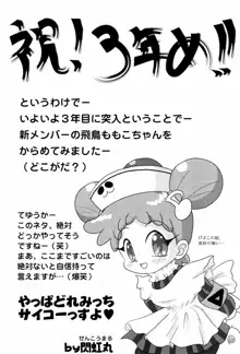 どれみパラダイス 6, 日本語