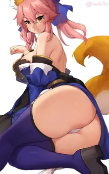 Tamamo No Mae, 日本語