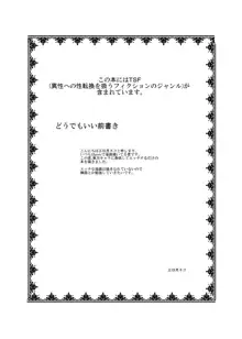 東方TS物語～橙編2～, 日本語