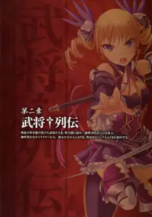 真・恋姫†無双―乙女繚乱☆三国志演義―パーフェクトビジュアルブック, 日本語