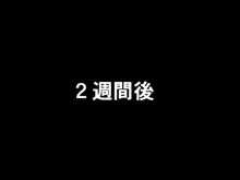 めすがきダぶるっ!, 日本語