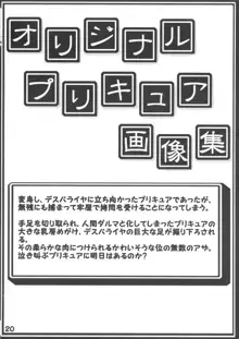 魔界令嬢デビルデーモンルナ, 日本語