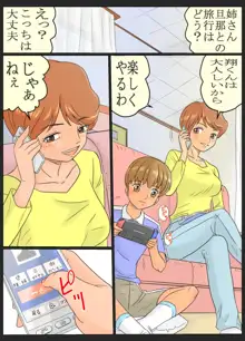 知美さん(35歳)と翔くん(?歳)～叔母さんと甥っ子くん～, 日本語