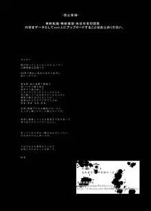 六課壊滅 ～落日～, 日本語