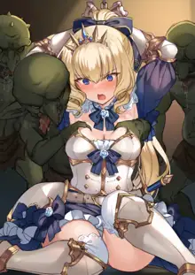 Princess knight captured by goblins, 日本語