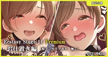 Ecstasy Stage 14 Premium お仕置き編, 日本語