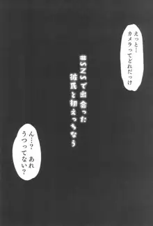 少女凌辱録 ホロナミンZ創作同人誌総集編, 日本語